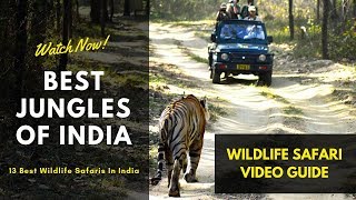 Top 13 Wildlife Sanctuaries in India  Best Jungle Safari Tours 2024 [upl. by Asenad]