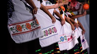 Un baile icónico del Estado de Michoacán quotLas Igüirisquot [upl. by Mullac]