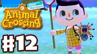 Catching a Tarantula  Animal Crossing New Horizons  Gameplay Walkthrough Part 12 [upl. by Nonek497]