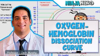 Respiratory  OxygenHemoglobin Dissociation Curve [upl. by Matazzoni313]