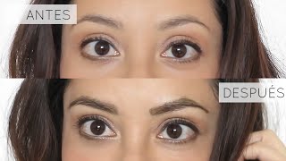 Cómo Teñirse las Cejas en Casa Tutorial [upl. by Livvie483]