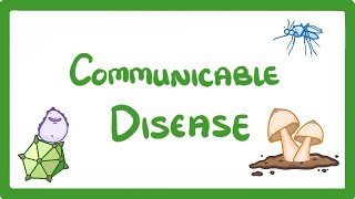 GCSE Biology  Communicable Disease 34 [upl. by Marcelle]