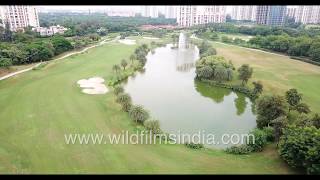 Noida Golf Course Jaypee Greens and high end living along the waterways and greens [upl. by Huston]