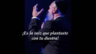 Habeit  Mordechai Ben David  Subtitulos en Español [upl. by Jahdai]