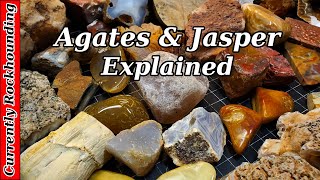 Agates amp Jasper  What Do You Really Know About Them [upl. by Anav]