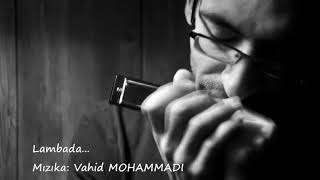 Kaoma  Lambada  Mızıka Harmonica  Vahid MOHAMMADI [upl. by Jerrilee]