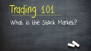 Trading 101 What is the Stock Market [upl. by Sivam]