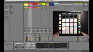 PreSonus ATOM and Ableton Live Transport [upl. by Lohner43]