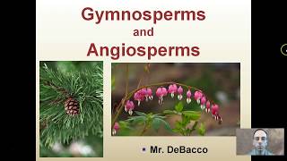 Gymnosperms and Angiosperms [upl. by Obeng647]