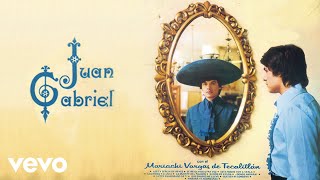 Juan Gabriel  Estoy Enamorado de Ti Cover Audio [upl. by Lynnet895]