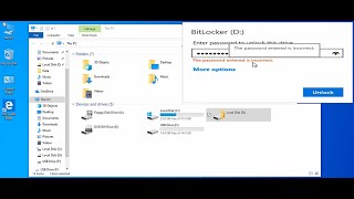 BitLocker Reset Password Forgotten Using USB [upl. by Notfilc]