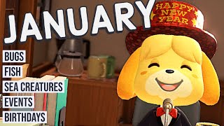 Animal Crossing New Horizons Guide to JANUARY Bugs Fish Events and More Northern Hemisphere [upl. by Zosema]