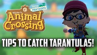 How to Catch Tarantulas EVERY Time  Animal Crossing New Horizons Tips [upl. by Litha]