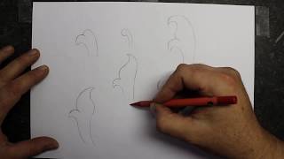 How to draw scroll designs The basics [upl. by Ynohtnaleahcim]