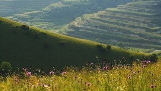 Kaiserstuhl im Frühling  Farben eines Jahres  Teil 1 [upl. by Elberfeld]