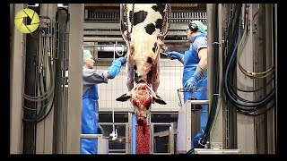 Inside The Meat Processing Plant  Inside The Food Factory  Incredible Process Worth Watching HD [upl. by Ennahgiel]