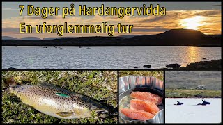 Hardangervidda  Fisketur  Sant [upl. by Cyprio]