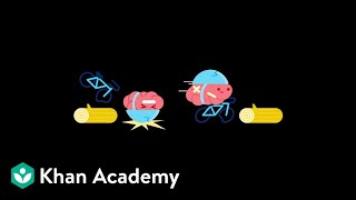 LearnStorm Growth Mindset The Truth About Your Brain [upl. by Gustav296]