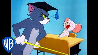 Tom amp Jerry in italiano  A lezione da Tom amp Jerry  WB Kids [upl. by Hylton]