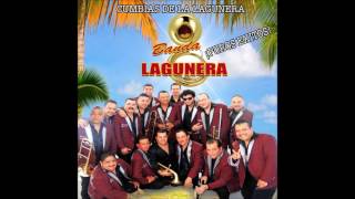 Banda Lagunera  Cumbias De La Lagunera Audio [upl. by Dragelin]