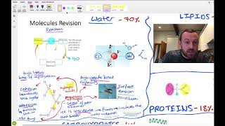 Molecules mindmap OCR A Level Biology 22 [upl. by Halda]