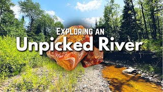 Unpicked River full of Treasure  Finding Lake Superior Agates Amethyst Jasper amp Other Minerals [upl. by Raleigh191]