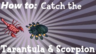 How To Catch the Tarantula amp Scorpion ACNL [upl. by Holden963]