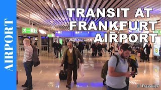 TRANSIT WALK AT FRANKFURT Airport FRA Terminal 1  Connection Flight Transfer Arriving amp Departing [upl. by Kris106]