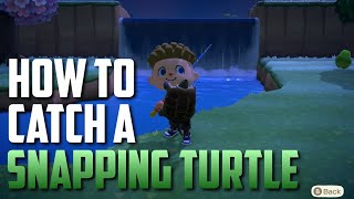 HOW TO CATCH A SNAPPING TURTLE  Animal Crossing New Horizons 5000 Bells  Detailed Fish Guide [upl. by Darmit]