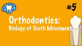 Orthodontics  Biology of Tooth Movement  INBDE ADAT [upl. by Mersey]