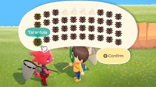 I Created An Island That Spawns Tarantulas And Made A Fortune in Animal Crossing New Horizons [upl. by Laynad866]