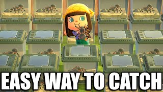 HOW TO Catch TARANTULA EASY in Animal Crossing New Horizons [upl. by Noruq]