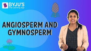 Difference Between Angiosperms And Gymnosperms [upl. by Pinto]