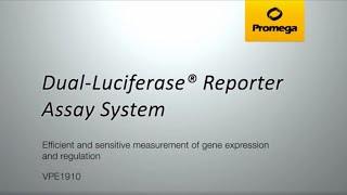 DualLuciferase® Reporter Assay System [upl. by Nosnorb]