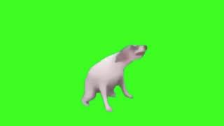 Dog Dance Meme [upl. by Mya]