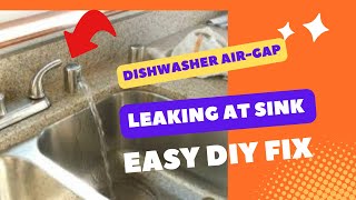 ✨ DISHWASHER DRAINS WATER AT AIR GAP  EASY FIX ✨ [upl. by Ieluuk]