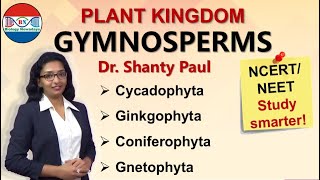 Gymnosperms  Plant kingdom [upl. by Veejar]