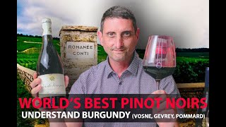 Finest Burgundy Wines  Your Guide to Top Pinot Noirs  VosneRomanée Pommard GevreyChambertin [upl. by Eeryk]